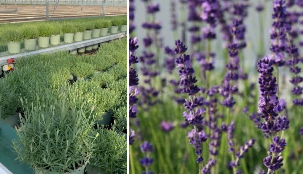 Van binnen naar buiten